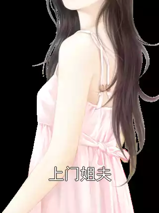 上门姐夫小说
