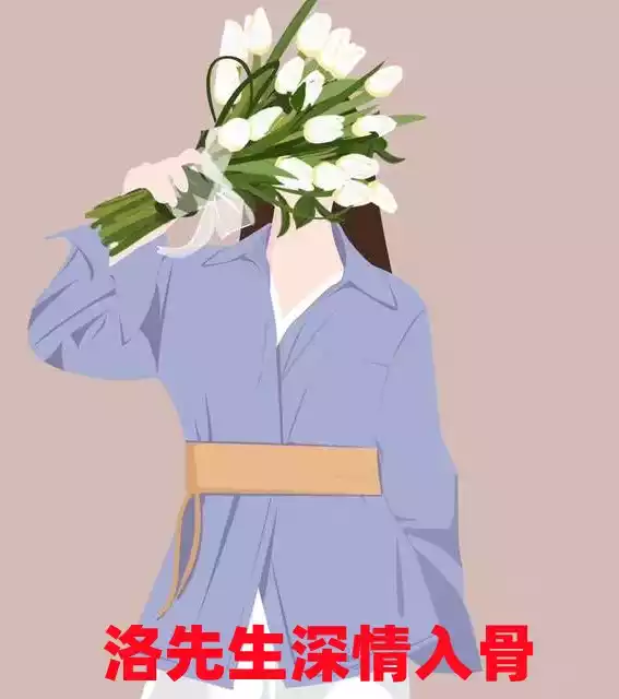 洛先生深情入骨小说