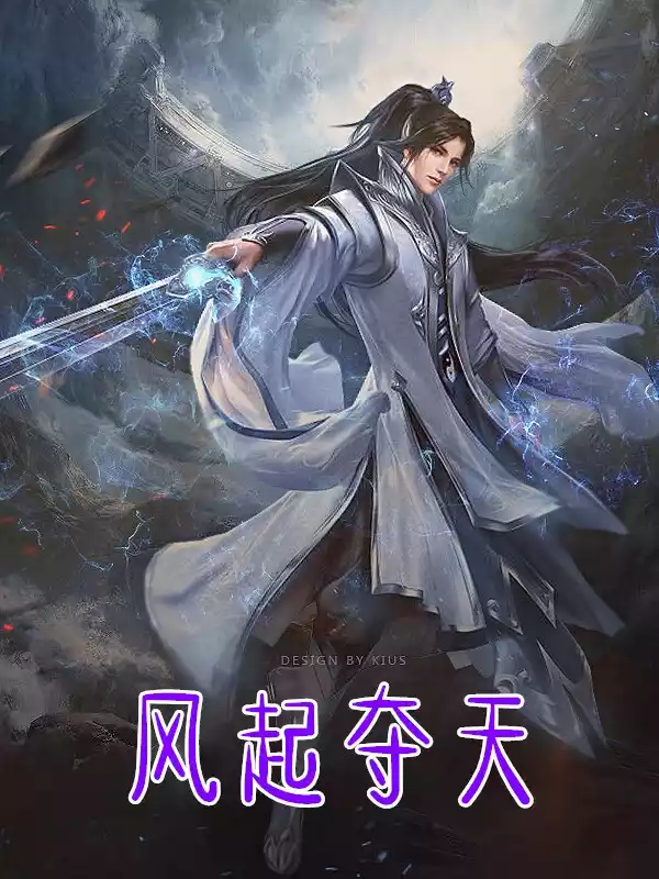 风起夺天小说