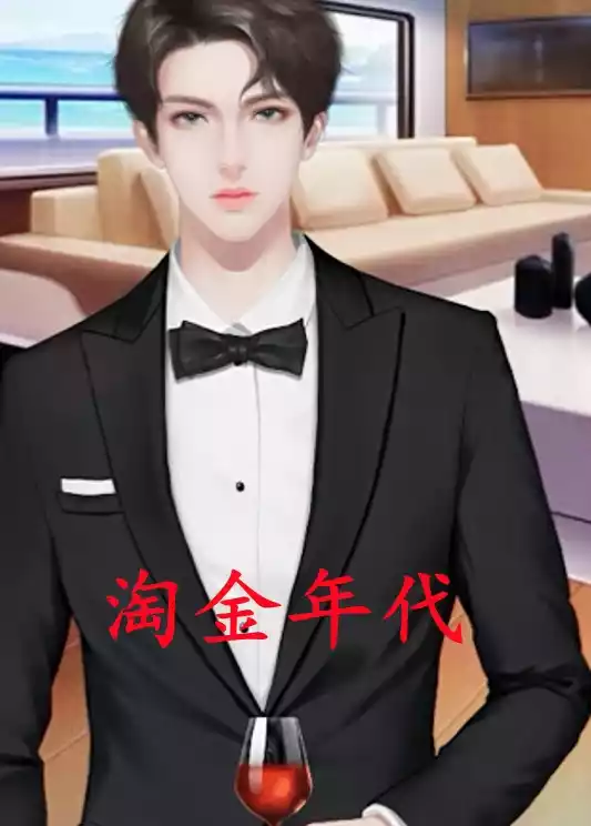 淘金年代小说