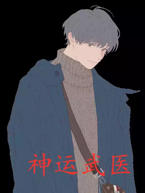 神运武医小说