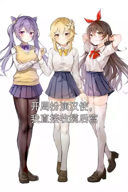开局扮演汉使，我直接收揽后宫小说