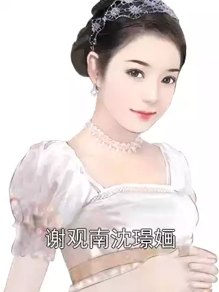 谢观南沈璟婳