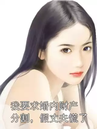 我要求婚内财产分割，假丈夫慌了小说