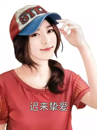 迟来挚爱小说