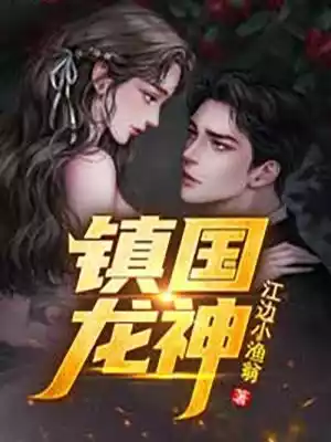 镇国龙神小说