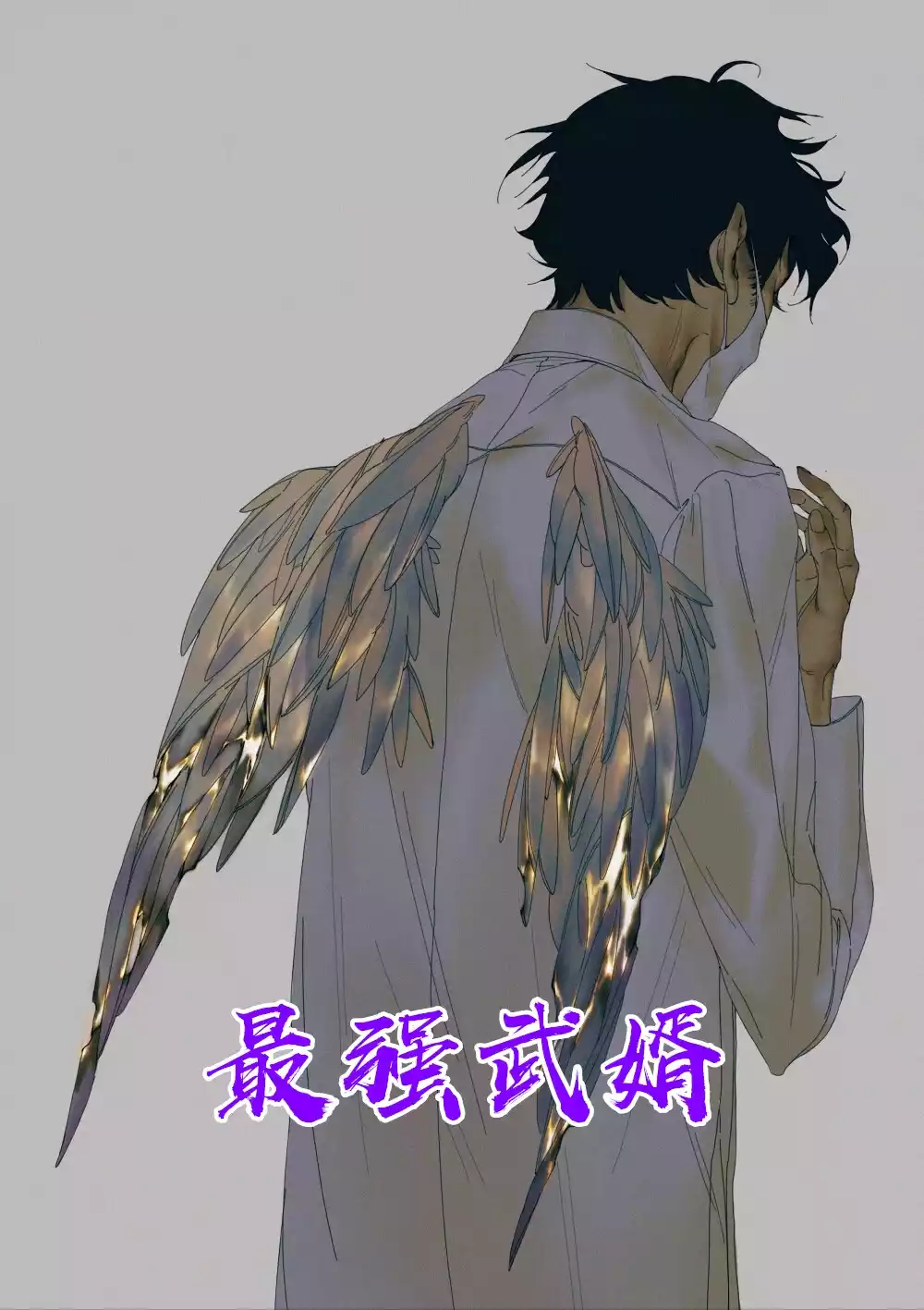 最强武婿小说