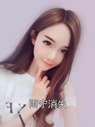 雨宁消失小说