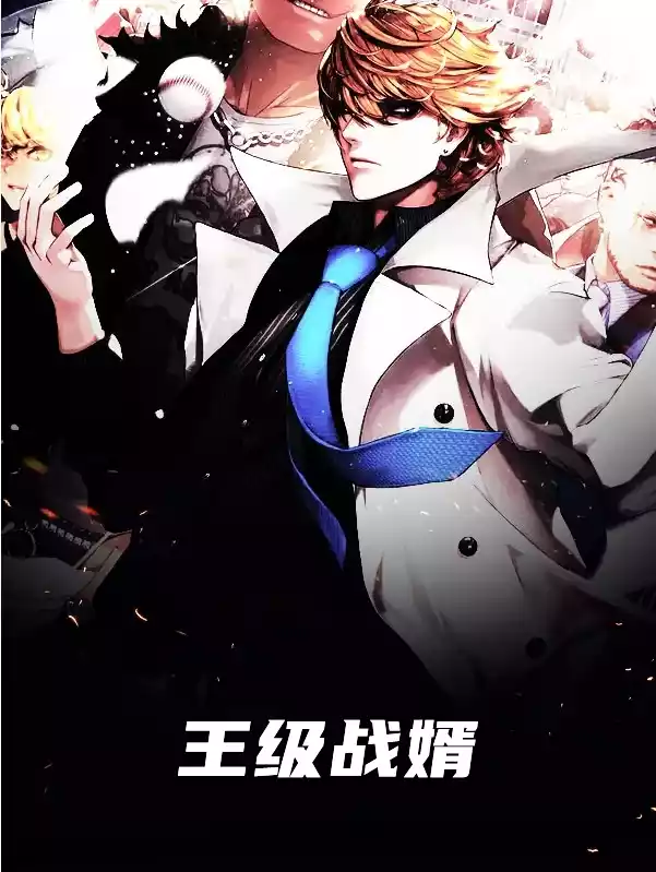 王级战婿小说