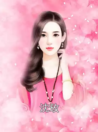 沈玫小说