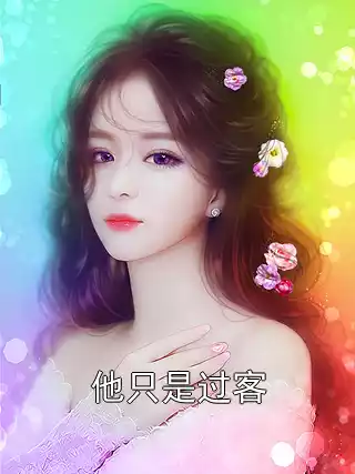 他只是过客小说