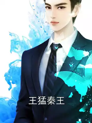 王猛秦王小说