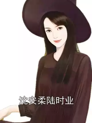 沈安柔陆时业