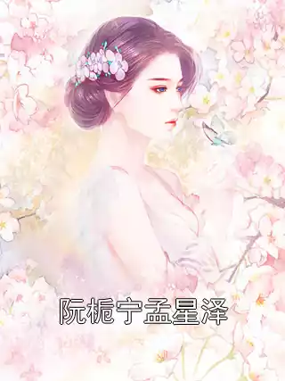 阮栀宁孟星泽小说