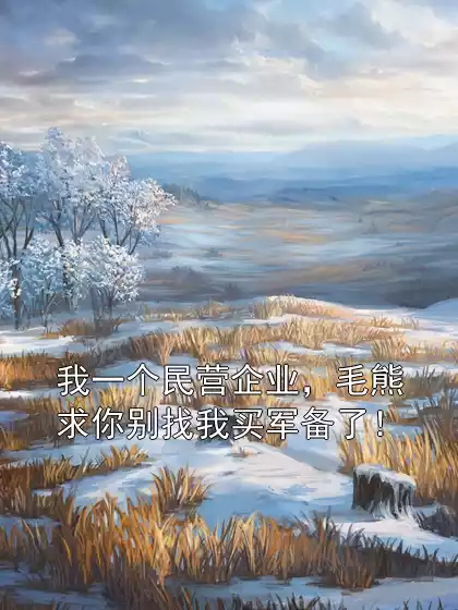 我一个民营企业，毛熊求你别找我买军备了！小说