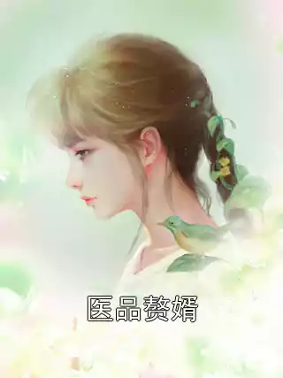 医品赘婿小说