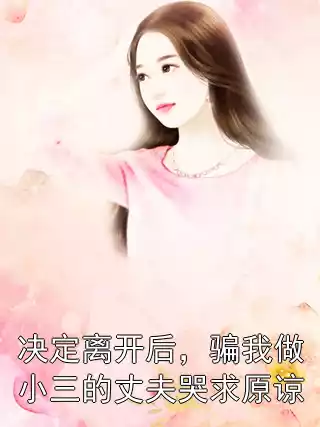 决定离开后，骗我做小三的丈夫哭求原谅小说