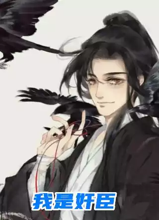 我是奸臣小说