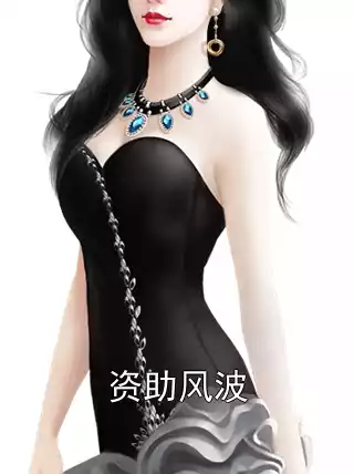 资助风波小说