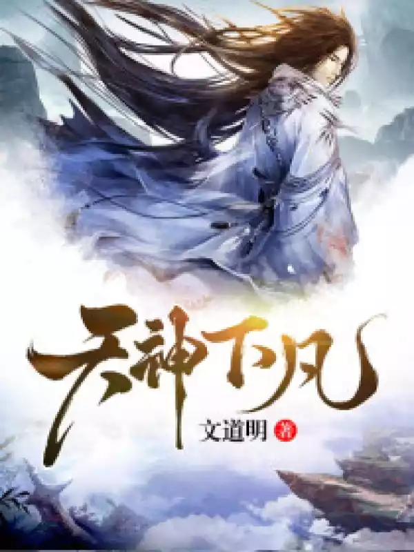 天神下凡小说
