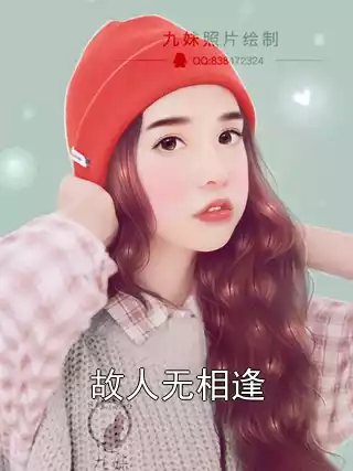 故人无相逢小说