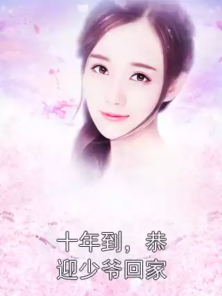 十年到，恭迎少爷回家小说