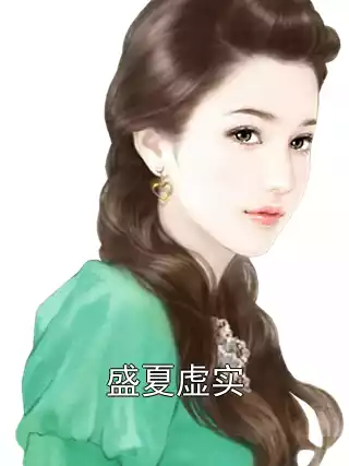 盛夏虚实小说