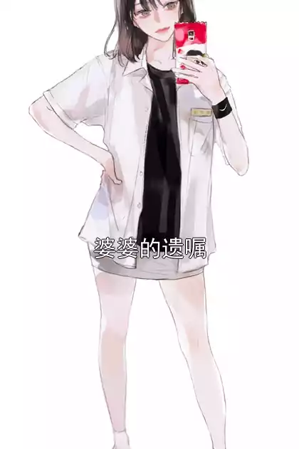 婆婆的遗嘱小说