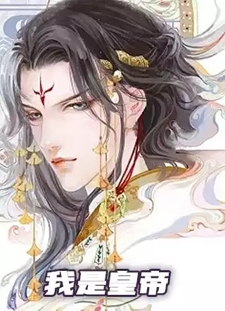 我是皇帝小说