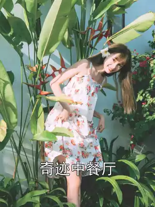 奇迹中餐厅小说