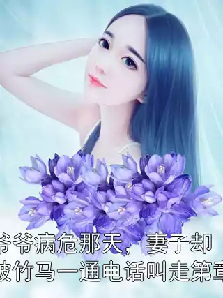 爷爷病危那天，妻子却被竹马一通电话叫走第章