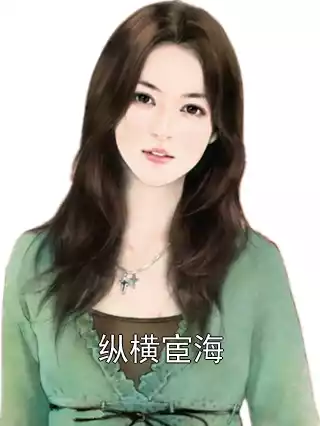 纵横宦海小说