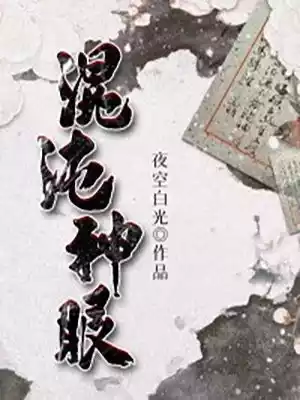 混沌神眼小说