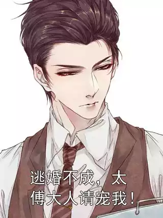 逃婚不成，太傅大人请宠我！小说