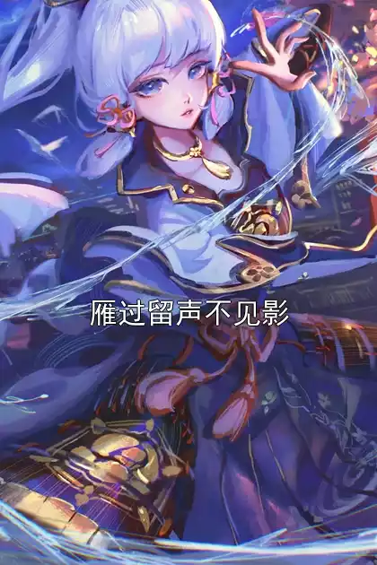 雁过留声不见影