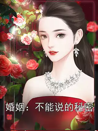 婚姻：不能说的秘密小说