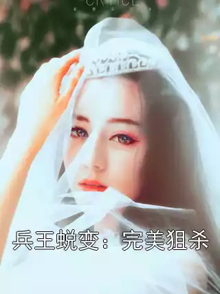 兵王蜕变：完美狙杀小说