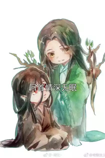 回首情深无眠小说