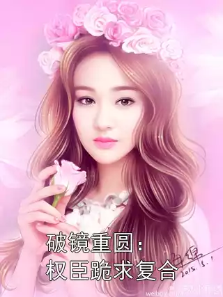 破镜重圆：权臣跪求复合小说