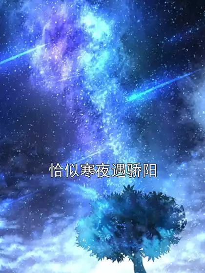 恰似寒夜遇骄阳小说