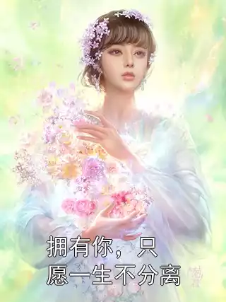 拥有你，只愿一生不分离小说