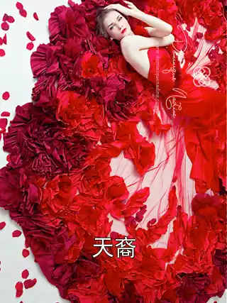 天裔小说