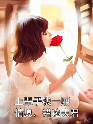 上辈子我一厢情愿，错选夫君小说