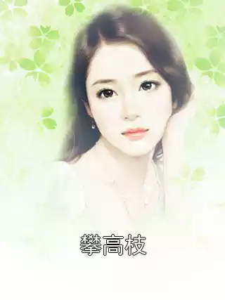 攀高枝小说