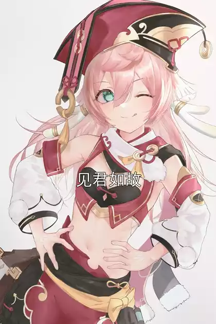 见君如故小说