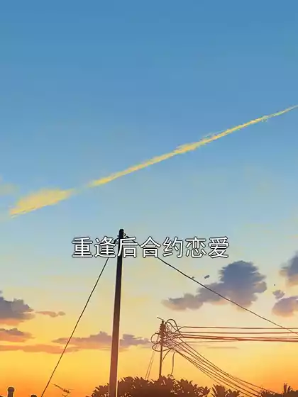 重逢后合约恋爱小说