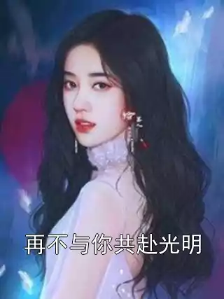 再不与你共赴光明小说