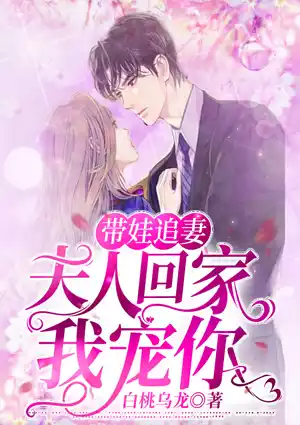 带娃追妻：夫人回家我宠你