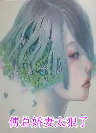 傅总娇妻太狠了小说
