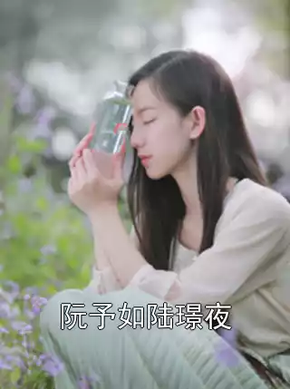阮予如陆璟夜小说